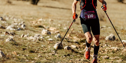 Trekking-Stöcke für Trailrunner: Ein verlässlicher Helfer